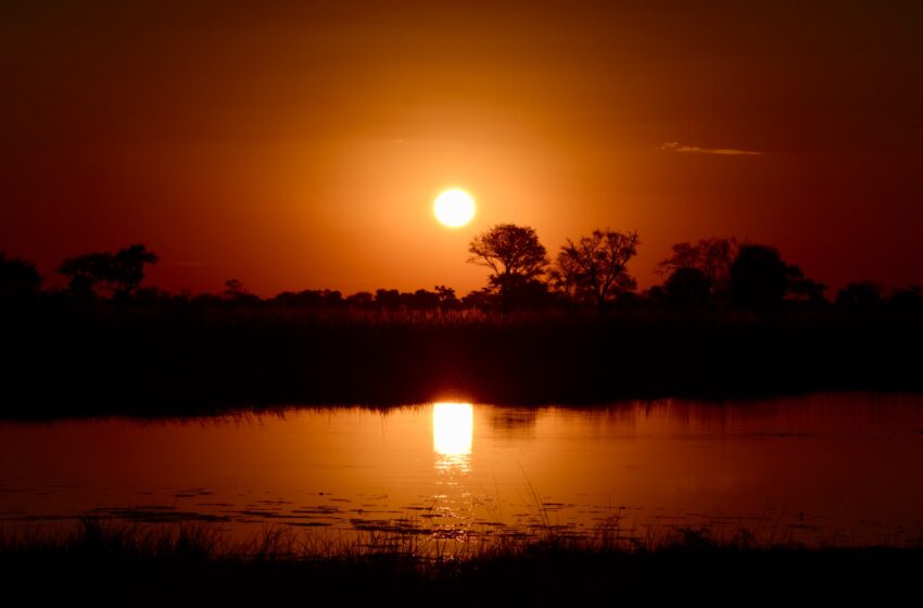  Non toccate l’Okavango